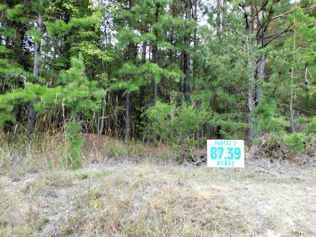 87.39 AC Virgilina Road