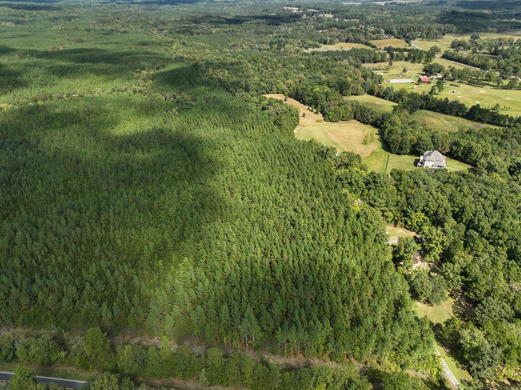 87.39 AC Virgilina Road