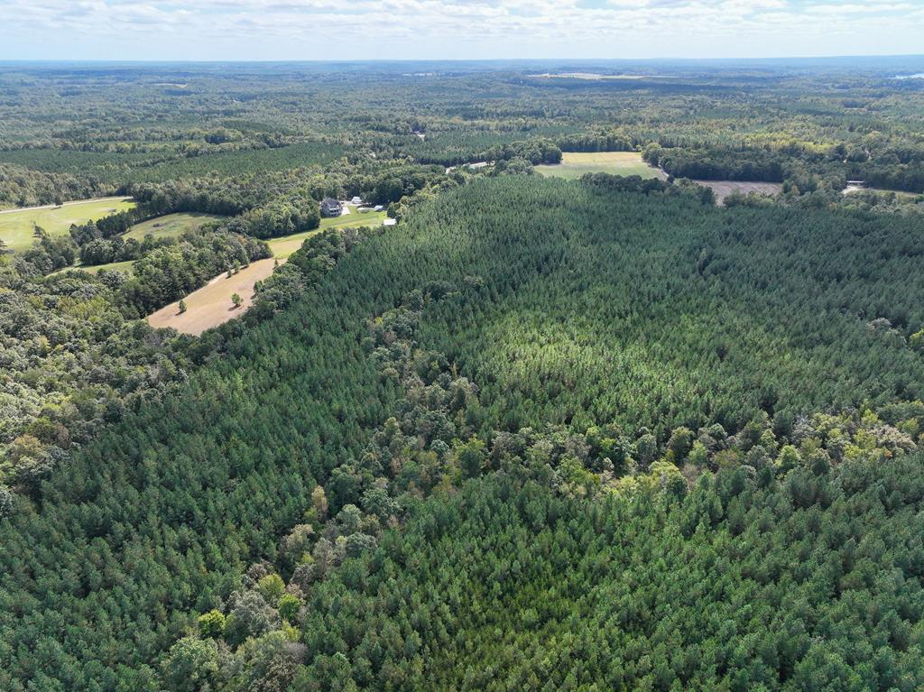 87.39 AC Virgilina Road