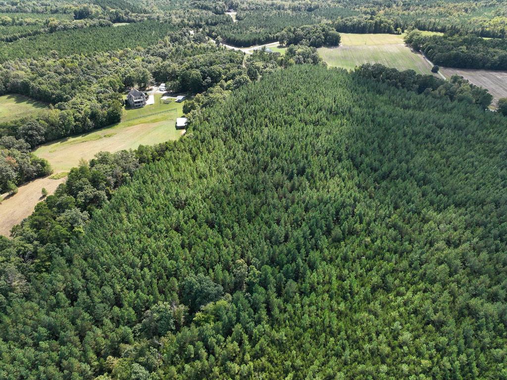 87.39 AC Virgilina Road