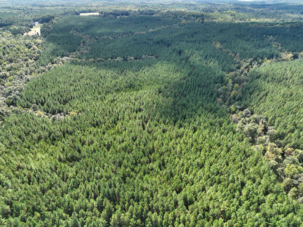 87.39 AC Virgilina Road