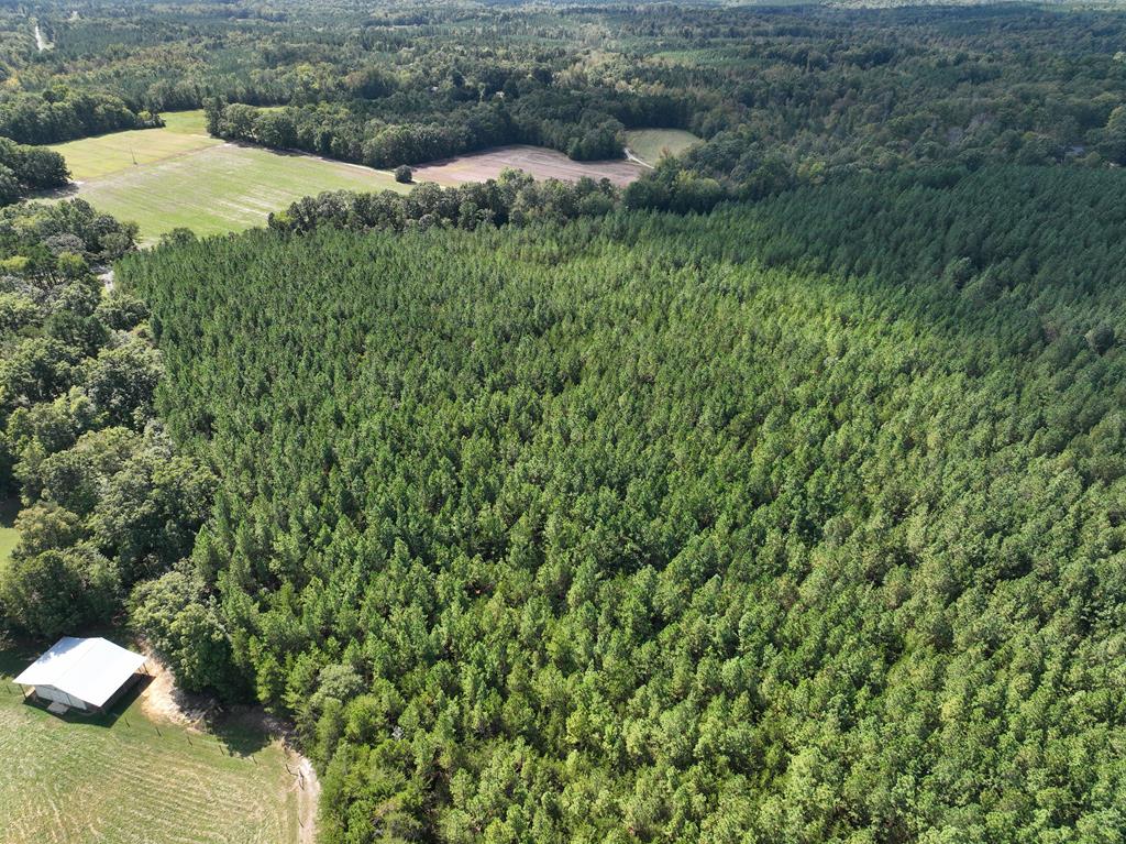 87.39 AC Virgilina Road