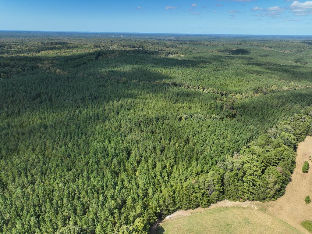 87.39 AC Virgilina Road