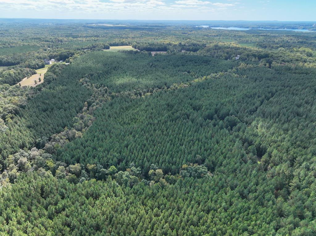 87.39 AC Virgilina Road