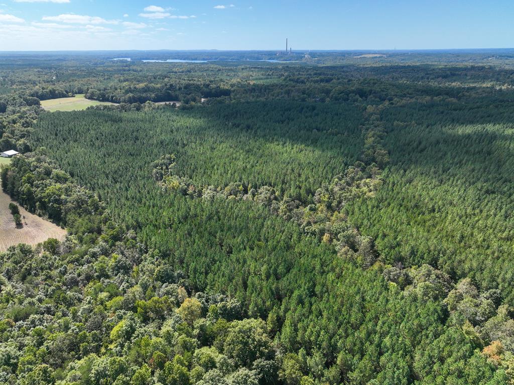 87.39 AC Virgilina Road