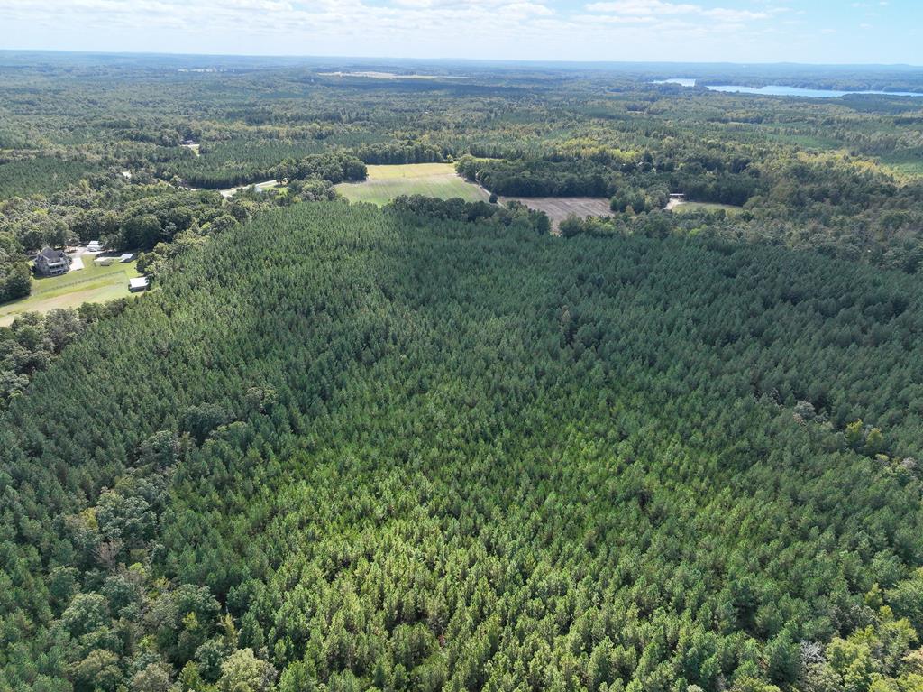 87.39 AC Virgilina Road