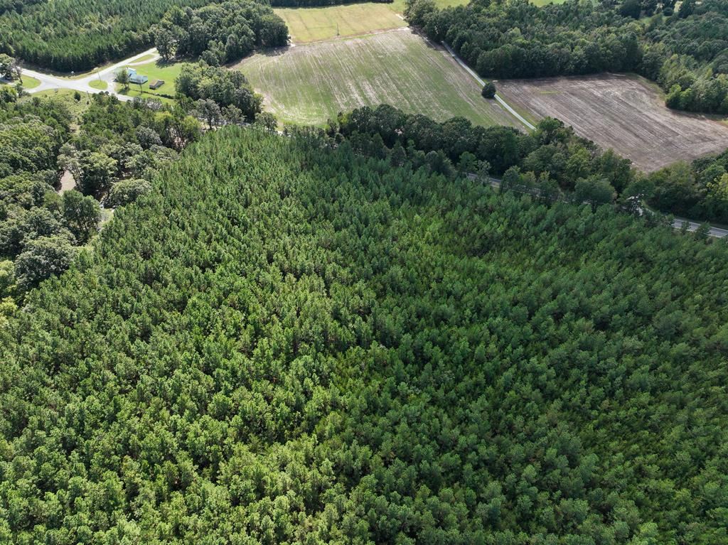 87.39 AC Virgilina Road
