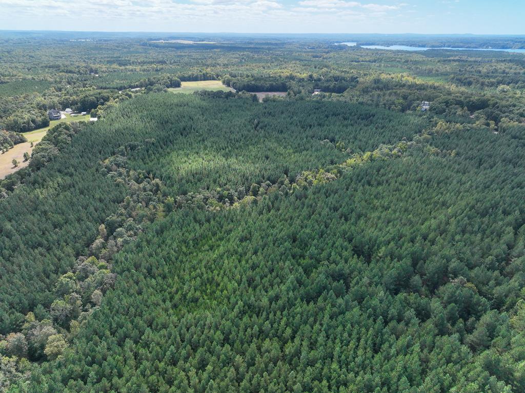 87.39 AC Virgilina Road