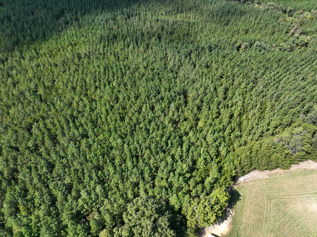 87.39 AC Virgilina Road