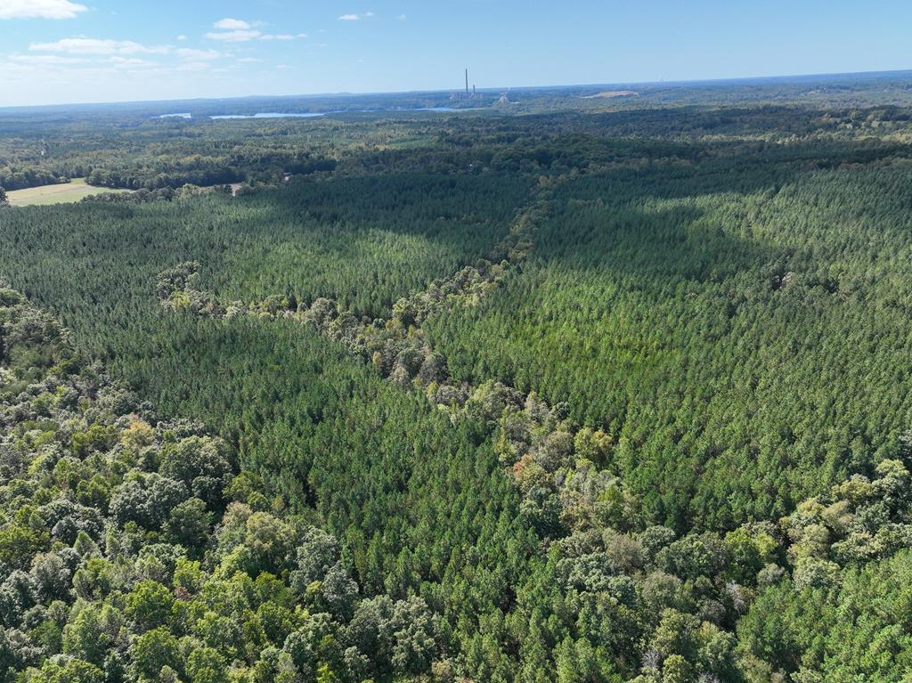 87.39 AC Virgilina Road