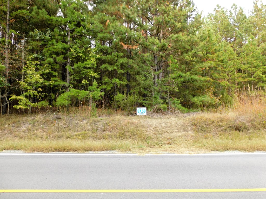 87.39 AC Virgilina Road