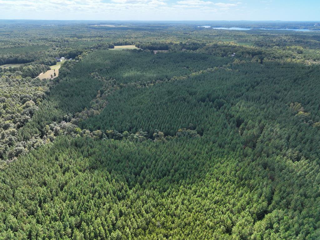 87.39 AC Virgilina Road