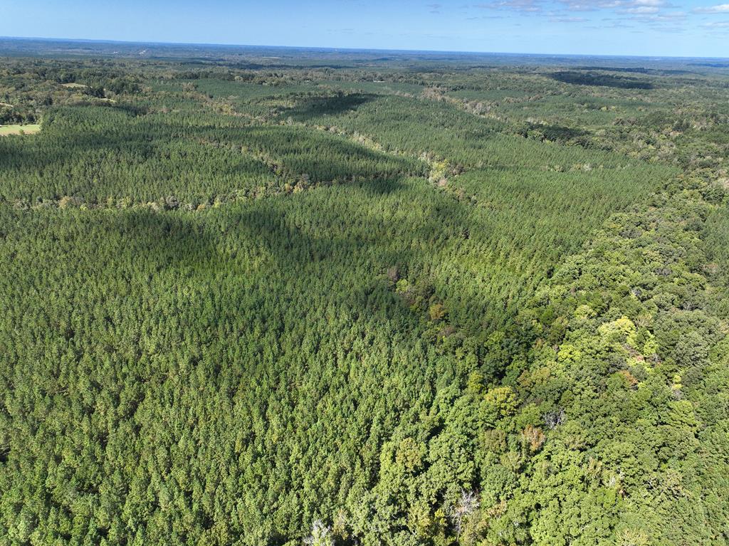 87.39 AC Virgilina Road