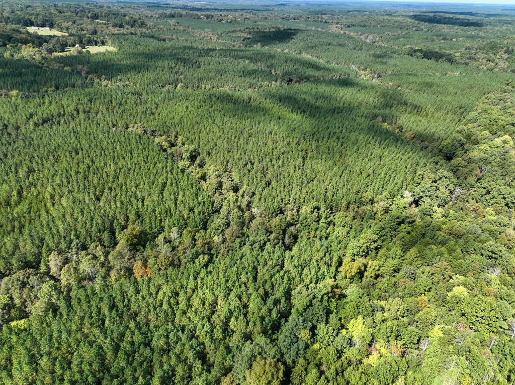 87.39 AC Virgilina Road