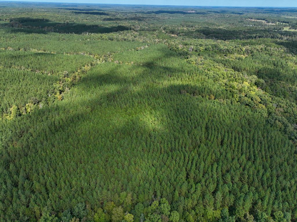 87.39 AC Virgilina Road