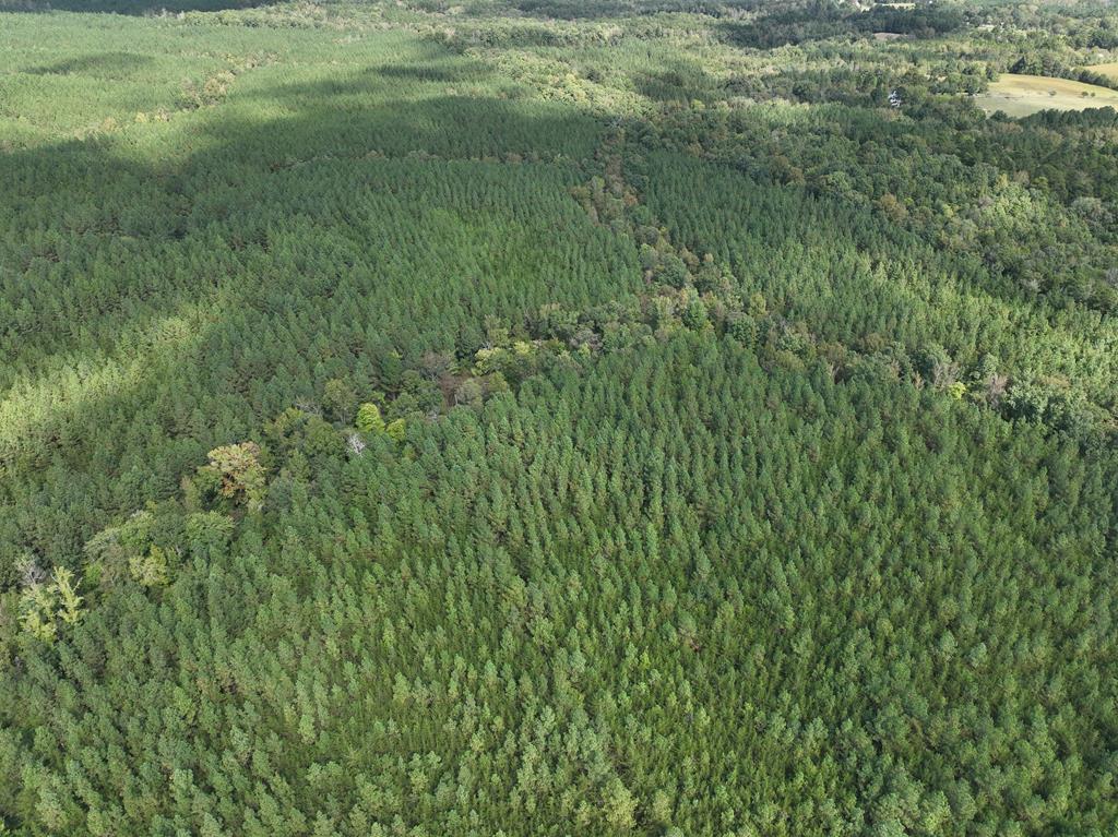 87.39 AC Virgilina Road