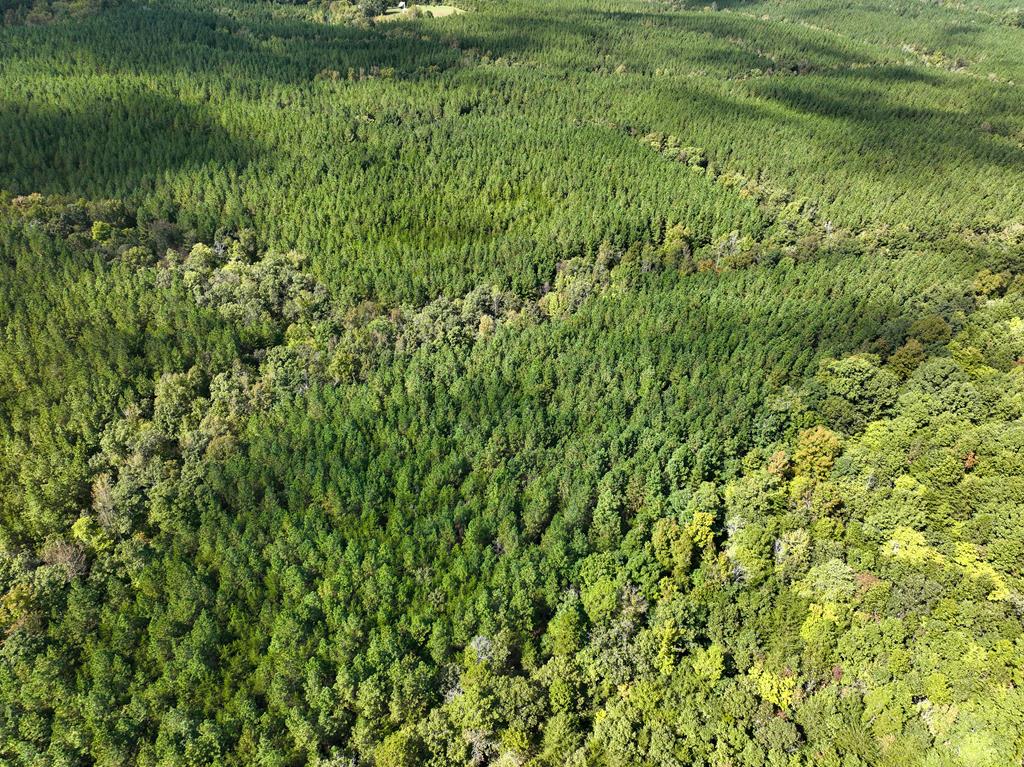 87.39 AC Virgilina Road