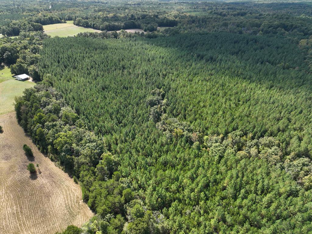 87.39 AC Virgilina Road