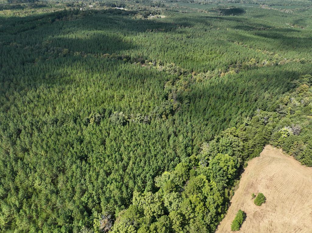 87.39 AC Virgilina Road