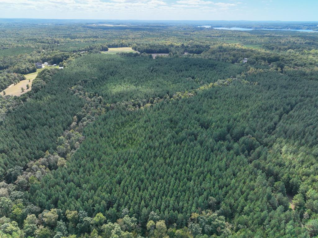 87.39 AC Virgilina Road