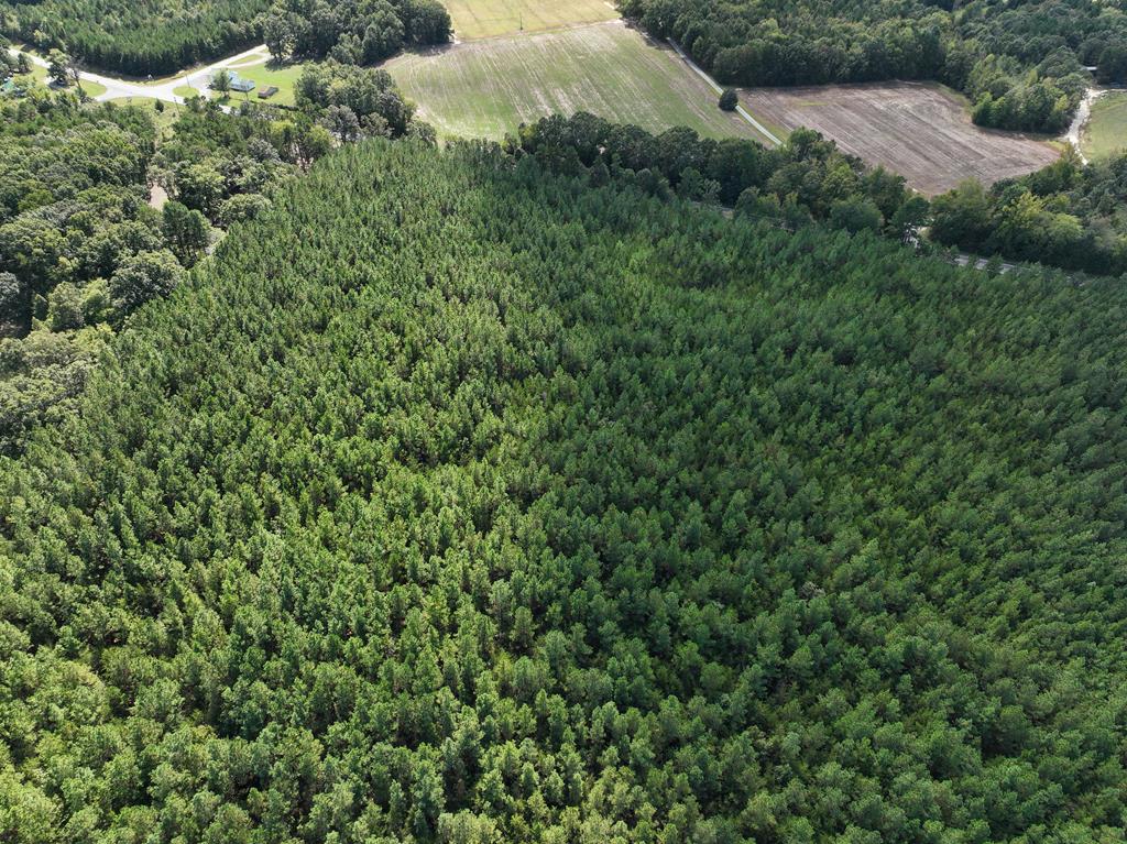 87.39 AC Virgilina Road