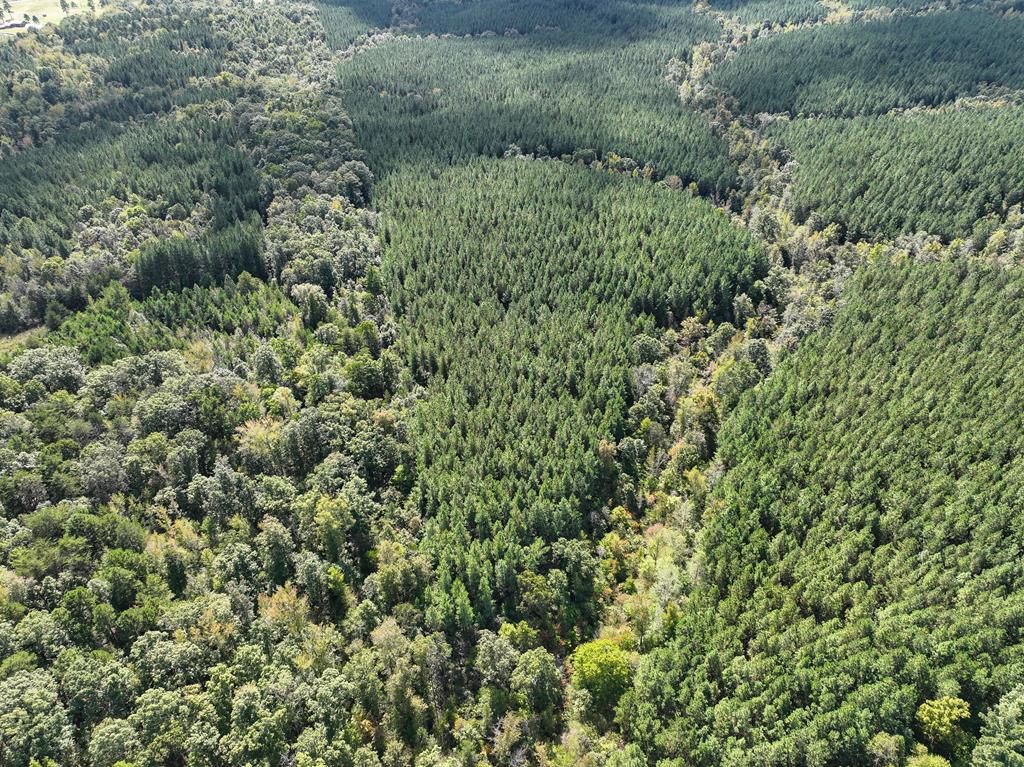 87.39 AC Virgilina Road
