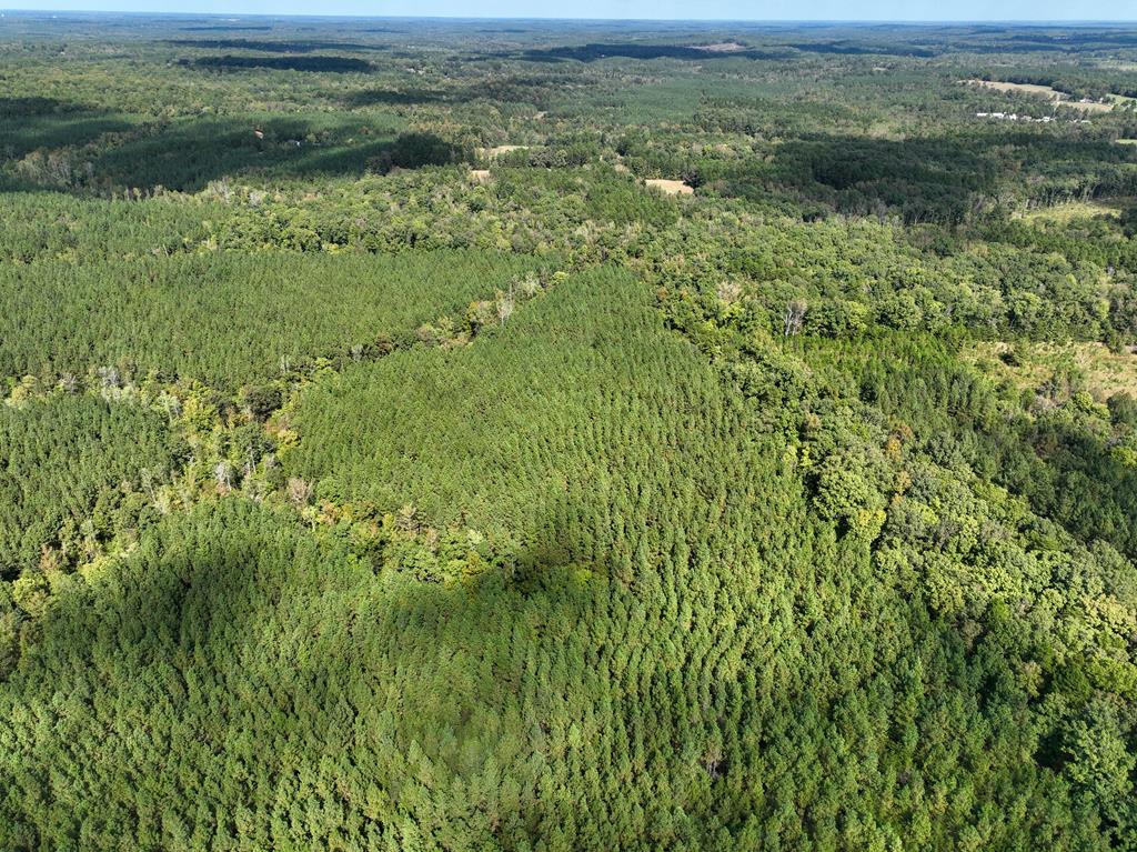 87.39 AC Virgilina Road