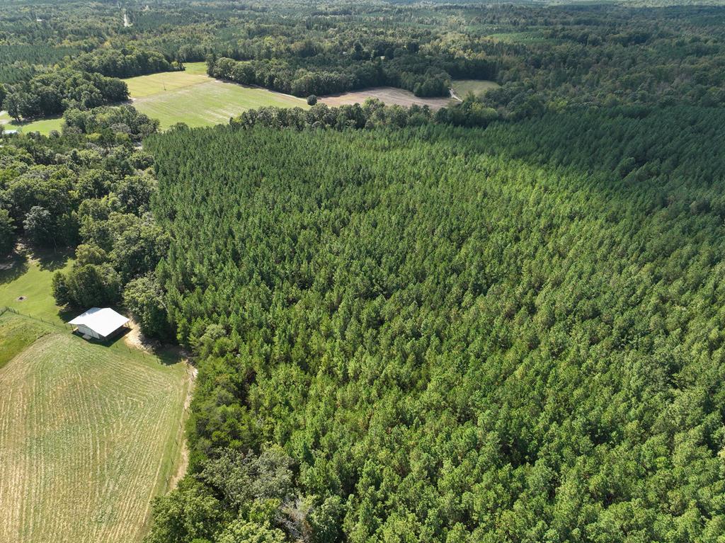 87.39 AC Virgilina Road