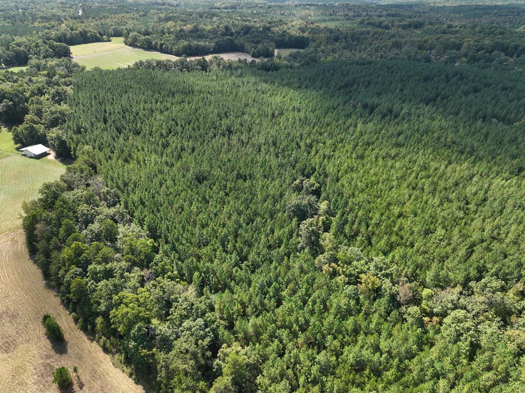 87.39 AC Virgilina Road