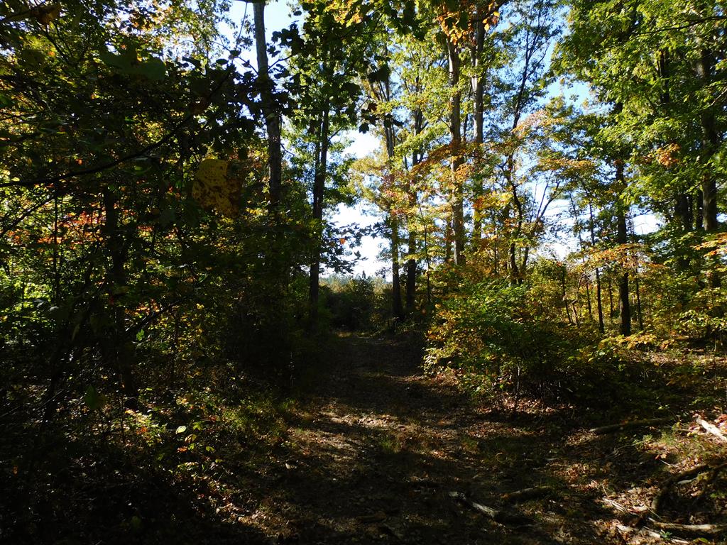 91.1 Acr Elkhorn Road