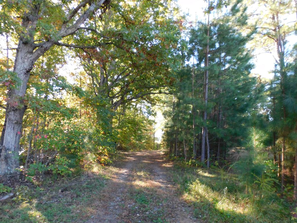 91.1 Acr Elkhorn Road