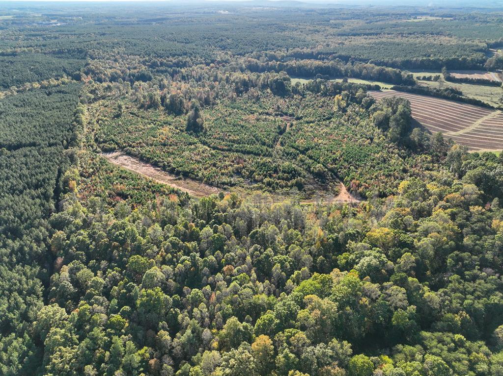 91.1 Acr Elkhorn Road