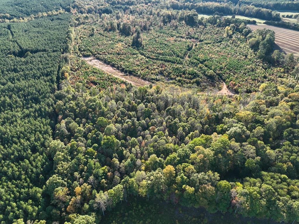 91.1 Acr Elkhorn Road