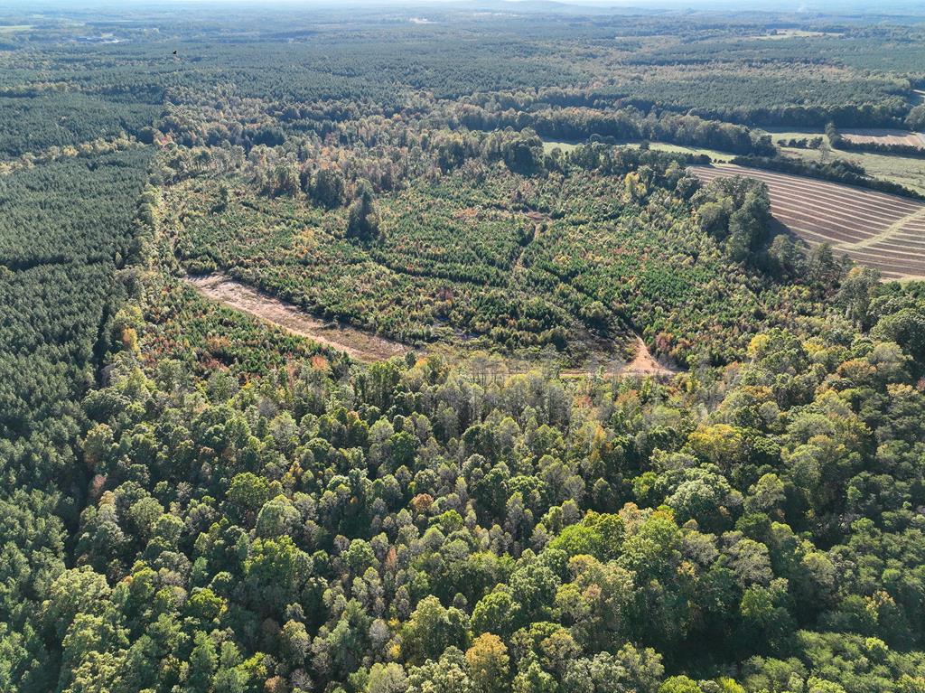 91.1 Acr Elkhorn Road