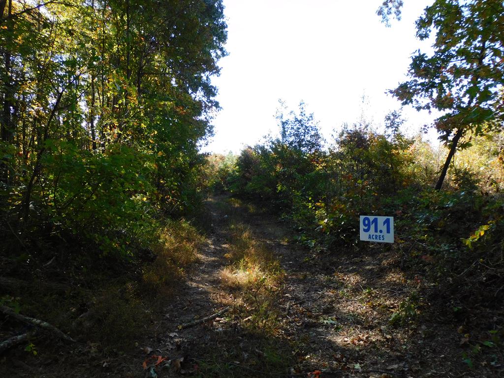 91.1 Acr Elkhorn Road