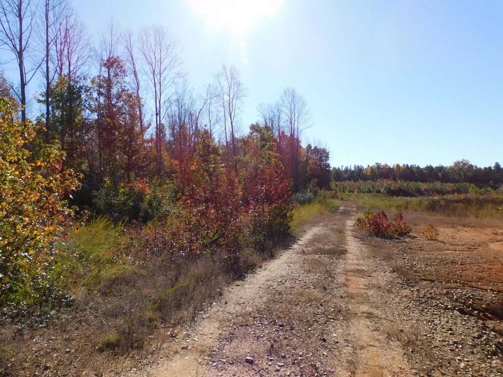91.1 Acr Elkhorn Road