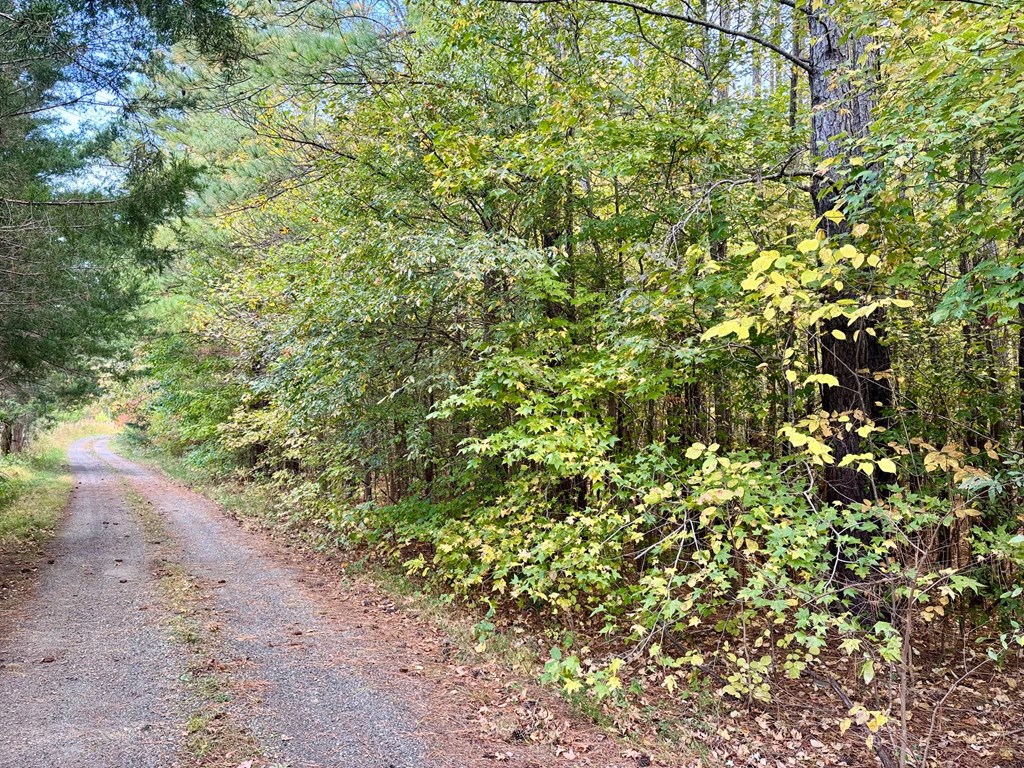 45.83 Ac Old School Road