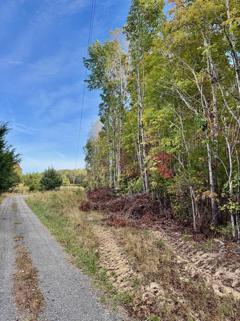 45.83 Ac Old School Road