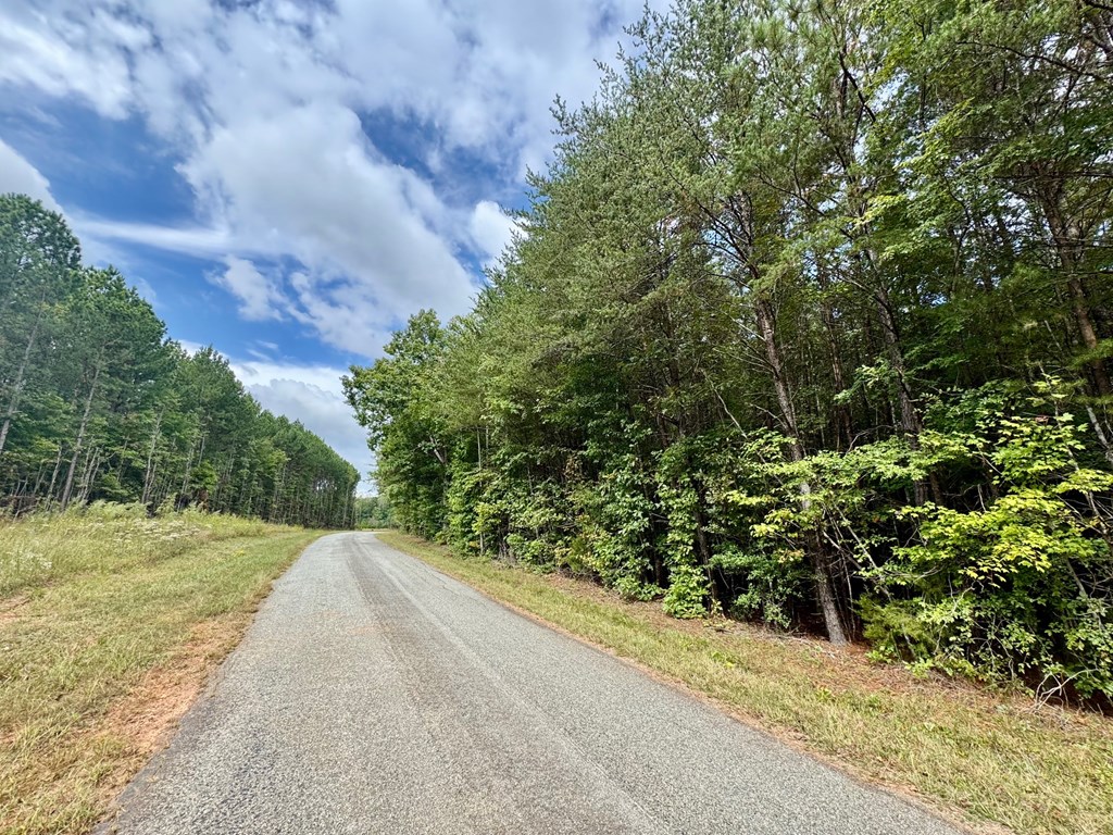 45.83 Ac Old School Road