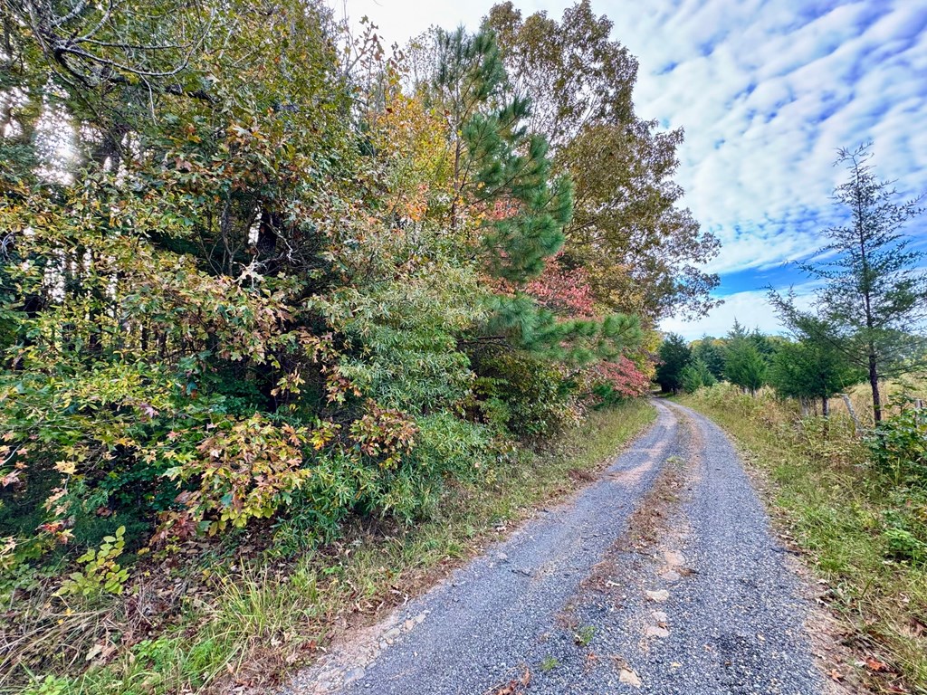 45.83 Ac Old School Road