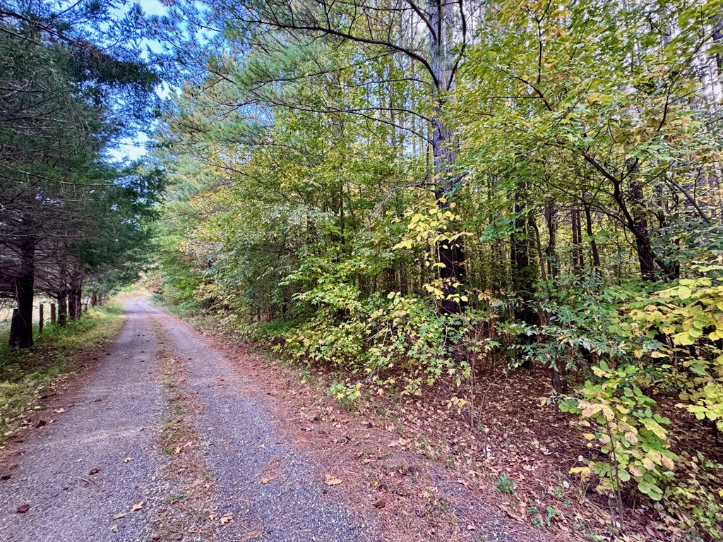 45.83 Ac Old School Road