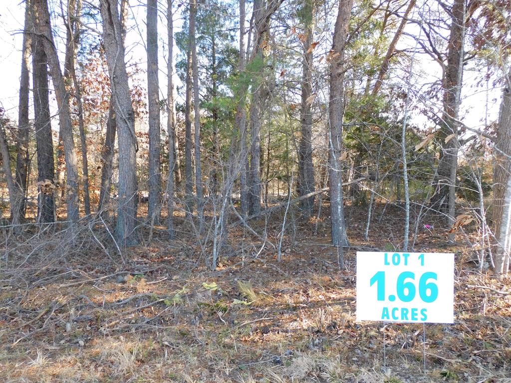 Lot 1 Asbury Church Road