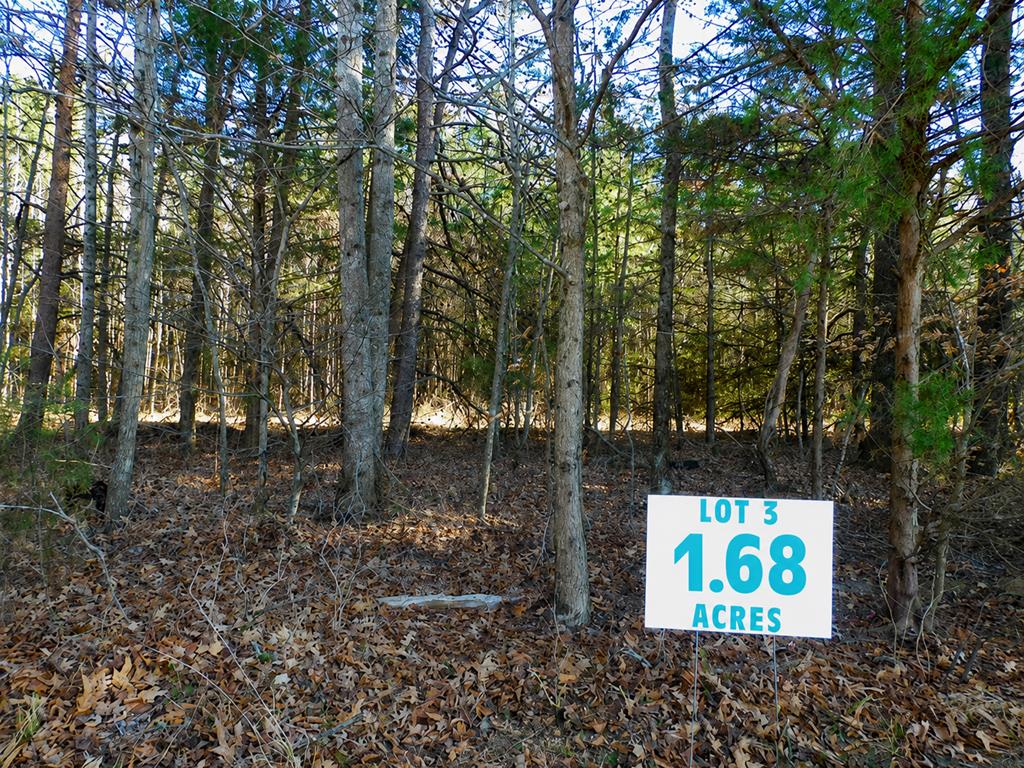 Lot 3 Asbury Church Road