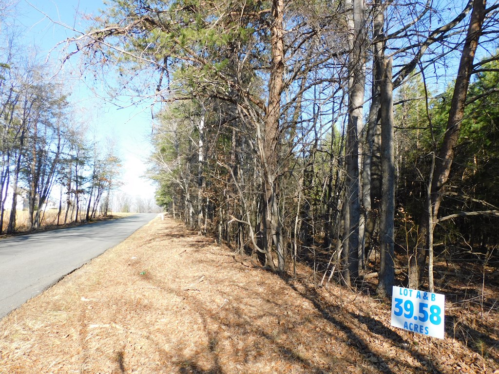 39.58 Ac Asbury Church Road