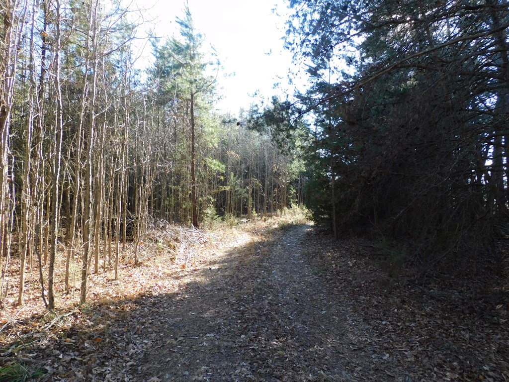 39.58 Ac Asbury Church Road