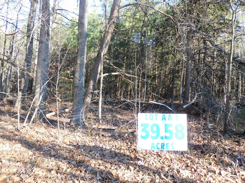 39.58 Ac Asbury Church Road