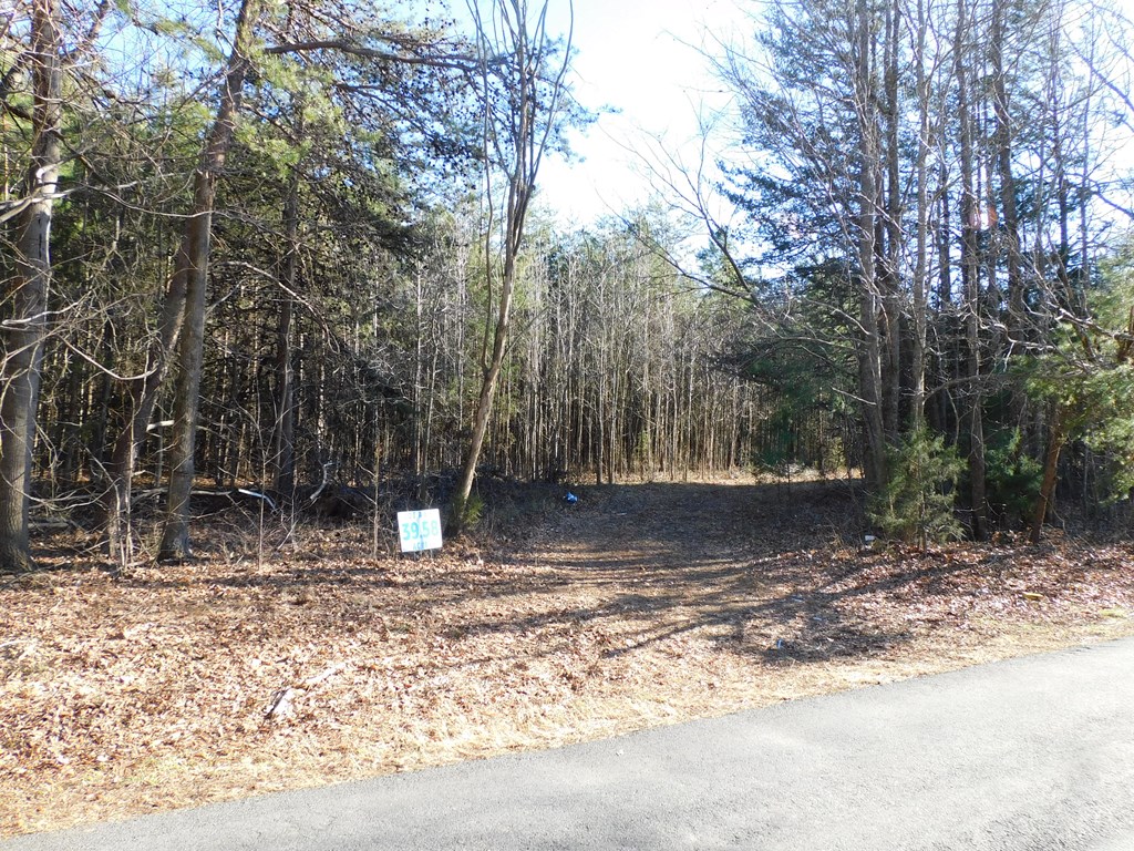 39.58 Ac Asbury Church Road