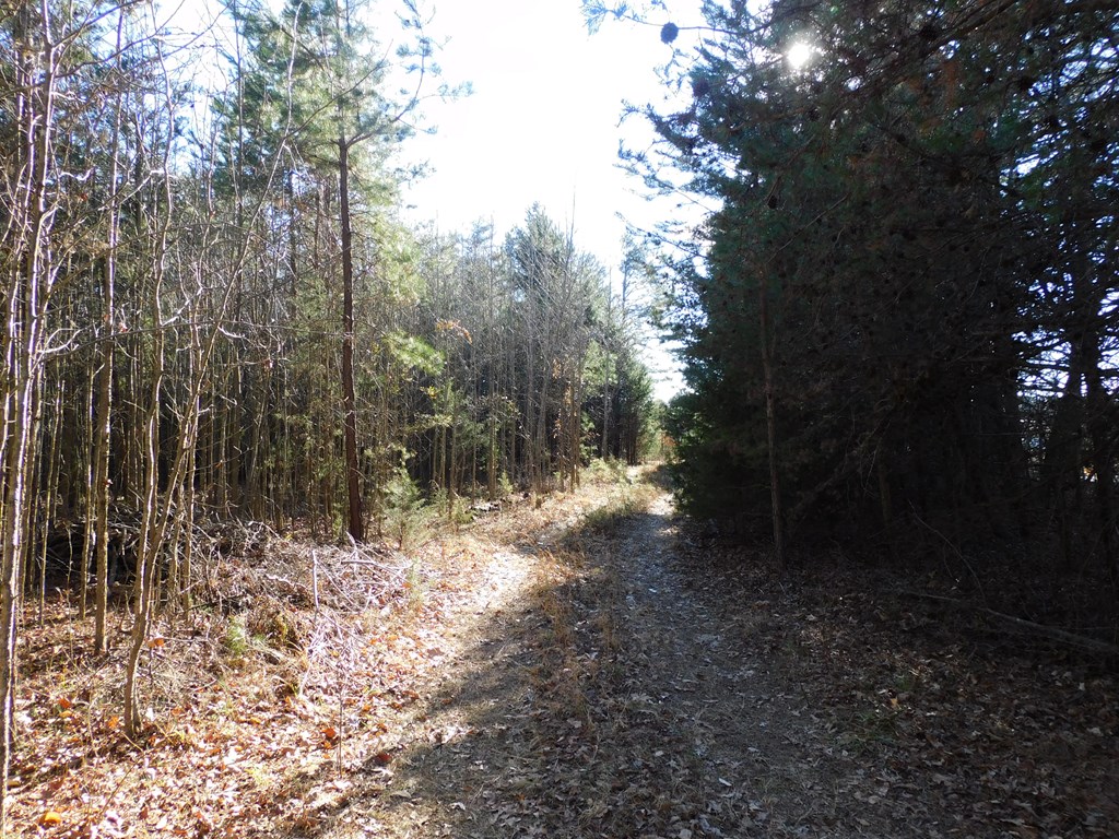 39.58 Ac Asbury Church Road