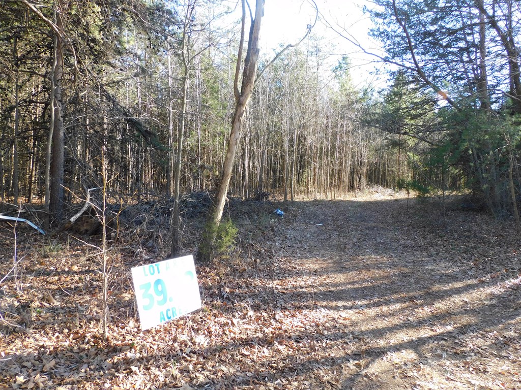 39.58 Ac Asbury Church Road