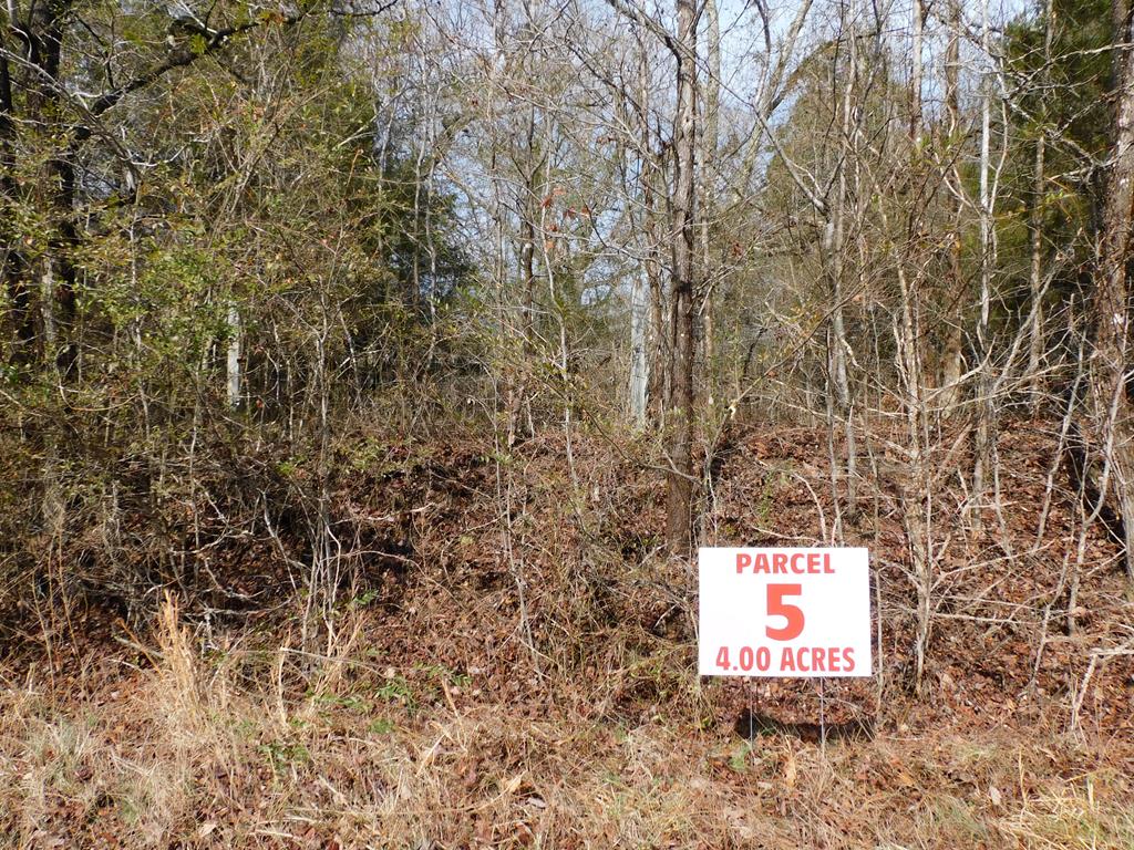 4 Acres Carr Lane